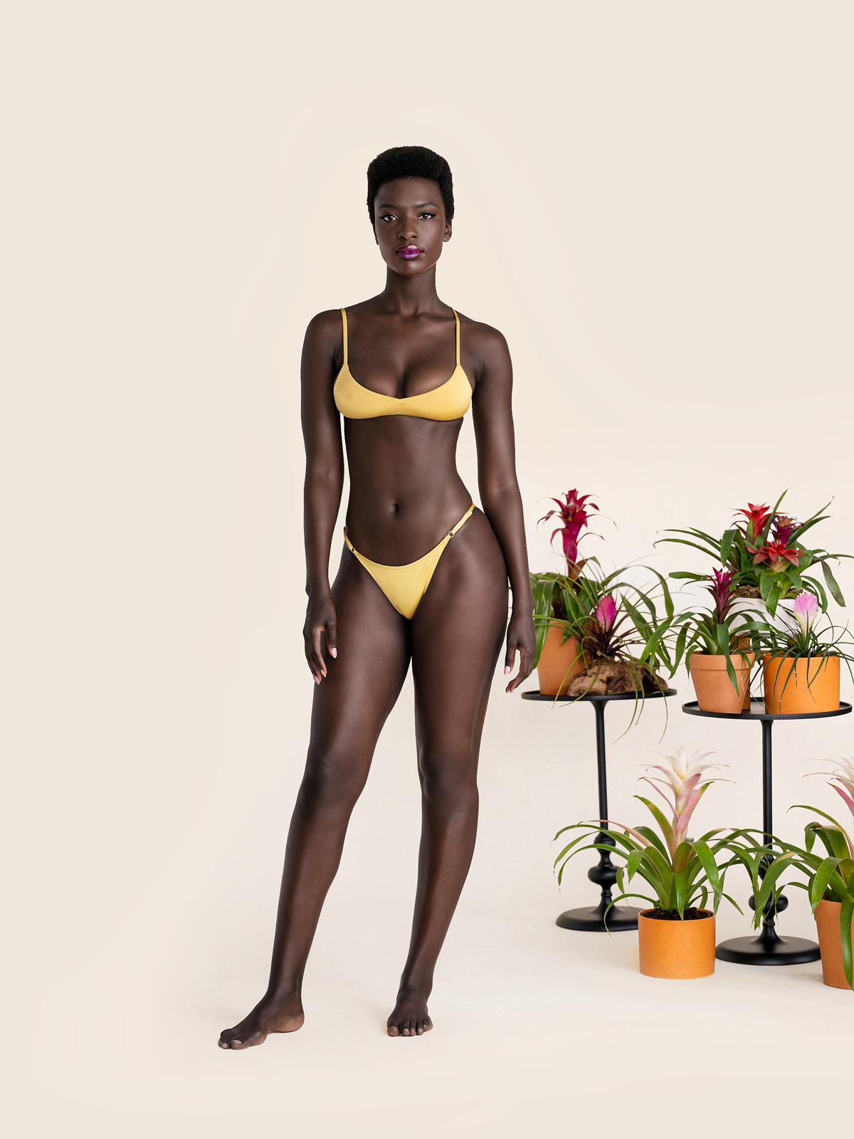 Bromelia Metallic Gold Bahia Bottoms