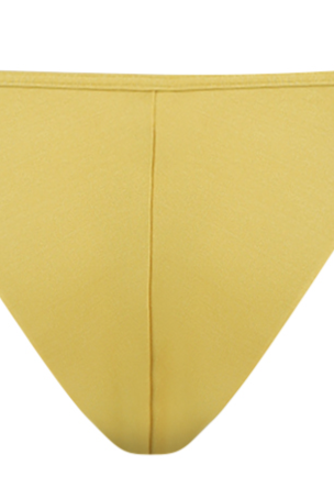 Bromelia Metallic Gold Gabriela Bikini Bottoms