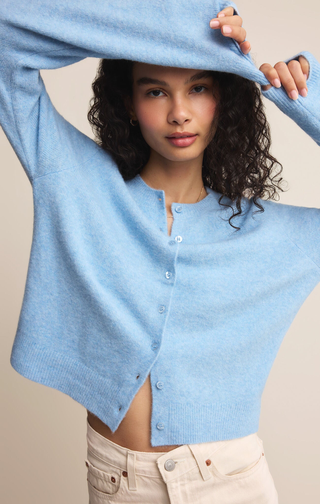 needle 水色カーディガン Sサイズ Z Supply | ZW251267S | Medina Cardigan | Serene Blue (SRB) | L