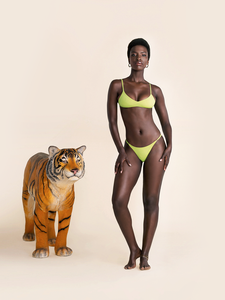 Bromelia Lime Bahia Bottoms