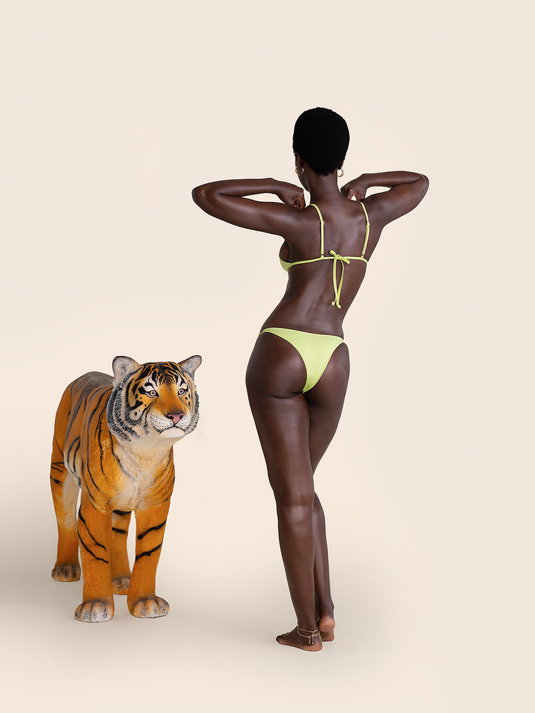 Bromelia Lime Bahia Bottoms