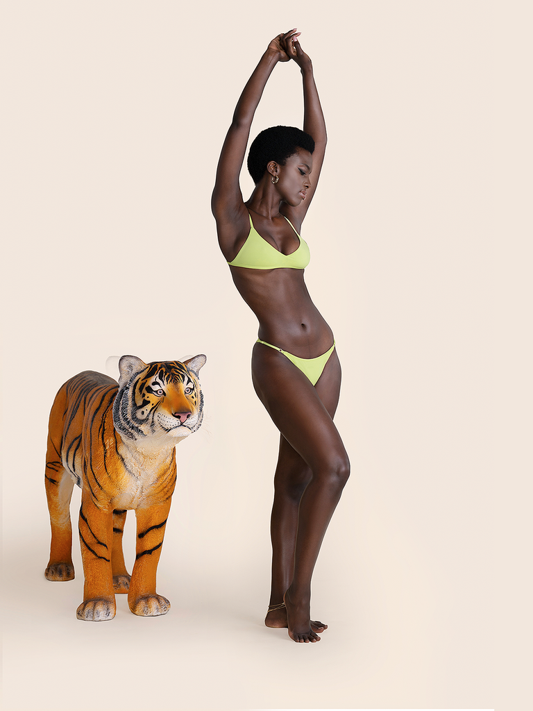 Bromelia Lime Bahia Bottoms