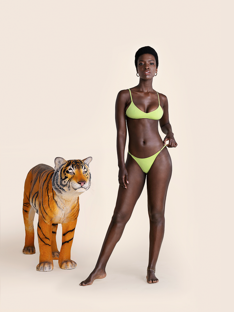 Bromelia Lime Bahia Bottoms